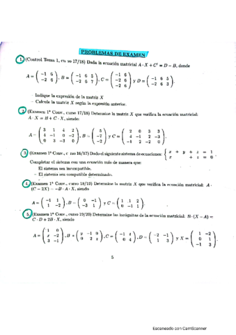 Problemas-tipo-examen-tema-1-matrices.pdf