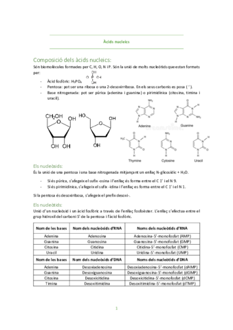 Acids-nucleics.pdf