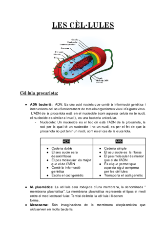 BIOLOGIA-.pdf