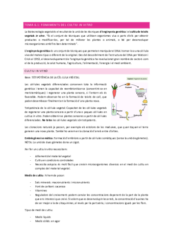 tema-6.pdf