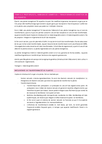 Tema-6.pdf