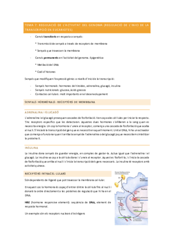 tema-7.pdf