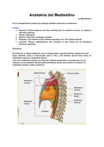 Anatomia-del-Mediastino.pdf