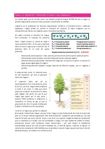 Tema-3.pdf