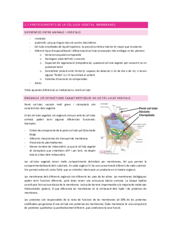 Tema-2.pdf