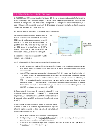 Tema-3.pdf