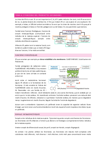 Tema-4.pdf