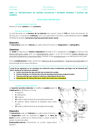 TRAU-TEMA-16.pdf