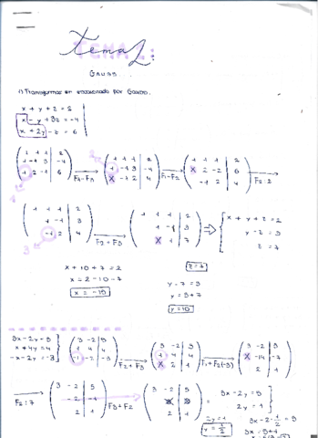 Tema-2-Gauss-.pdf