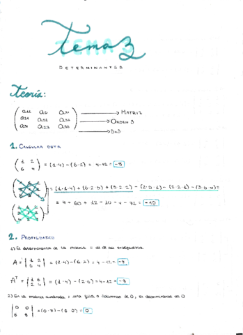 Tema-3-determinantes-.pdf