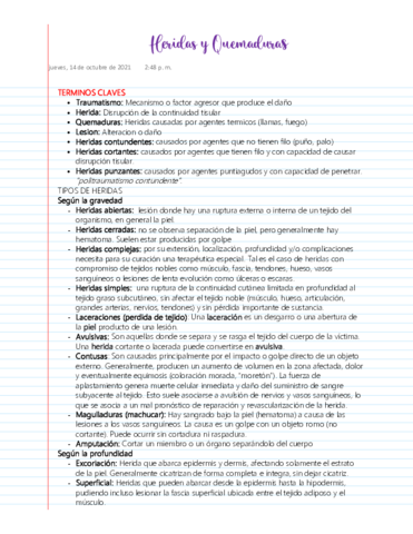 Heridas-y-Quemaduras.pdf