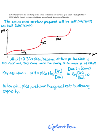 Solved-Biochemistry-Course-Review.pdf