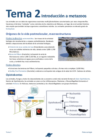 Tema-2-.pdf