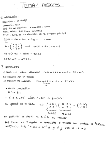 Tema-1-MATRICES.pdf