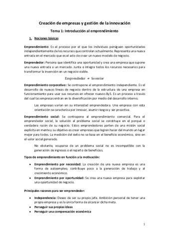 Creacion-de-empresas-y-gestion-de-la-innovacion-RESUMEN-DEFINITIVO.pdf