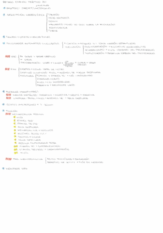 PROCESADO-DE-LA-MUESTRA.pdf
