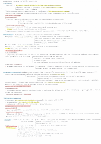 T8-CITOLOGIA-GENERAL.pdf