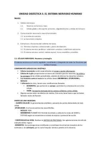 UNIDAD-3-SISTEMA-NERVIOSO-HUMANO.pdf