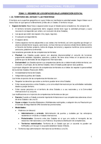 TEMA-11.pdf