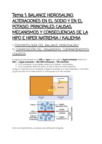 Tema-1.pdf