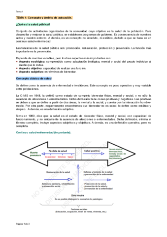 T1-salud-publica.pdf