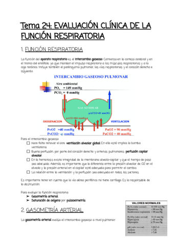 Tema-24.pdf