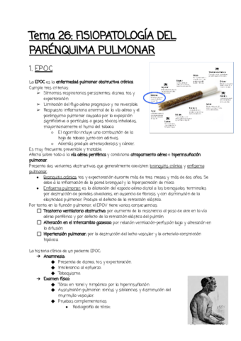 Tema-26.pdf