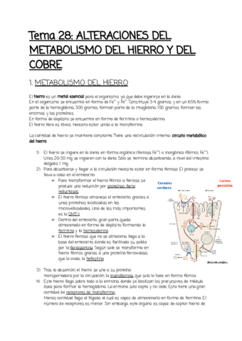 Tema-28.pdf