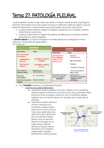 Tema-27.pdf