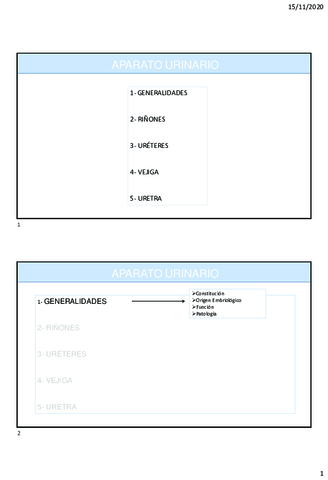 Tema-3-Aparato-urogenital.pdf
