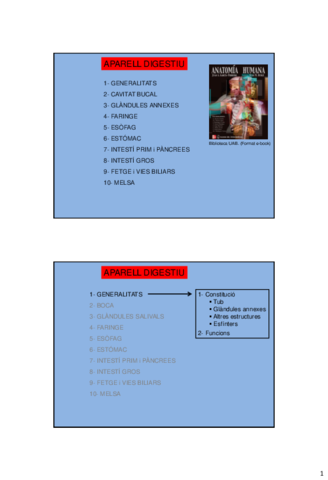 Tema-2-Aparato-digestivo.pdf
