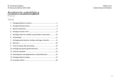 AP-2o-parcial-apuntes.pdf