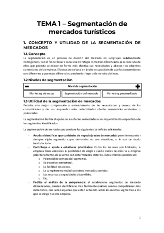 TEMA 1 - Segmentación de mercados