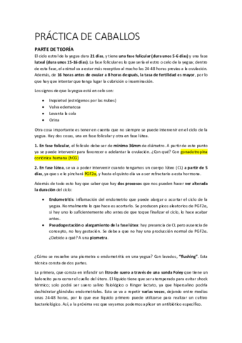 PRACTICA-DE-CABALLOS.pdf