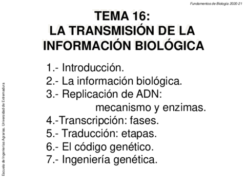 3er-parcial.pdf