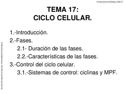 4o-parcial.pdf