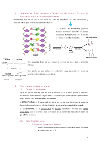 UNIDAD-DE-TRABAJO-4.pdf