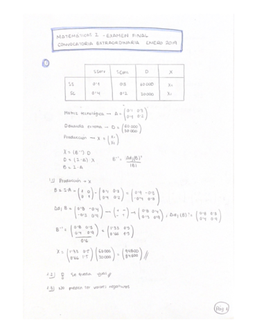SOLUCION-EXTRAORDINARIA-FINAL-2019.pdf