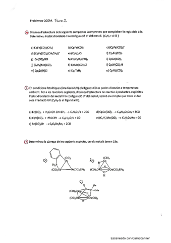 QCO2. Tema 2 Problemes.pdf