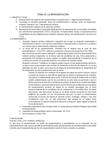 TEMA-19.pdf