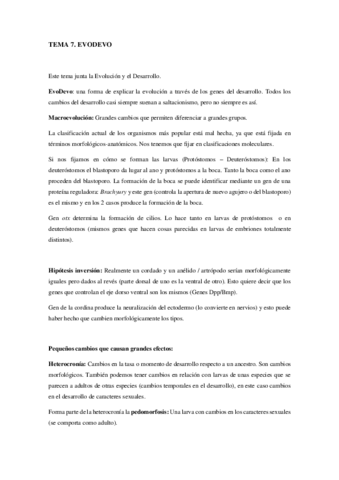 TEMA-7.pdf