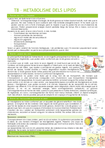 T8-METABOLISME-DELS-LIPIDS.pdf