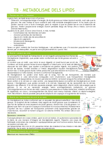 T8-METABOLISME-DELS-LIPIDS.pdf