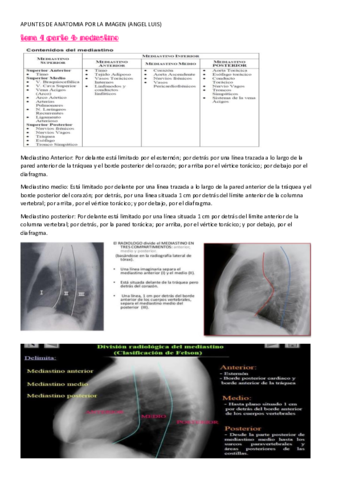 APUNTES-DE-ANATOMIA-tema-4-parte-4-angel.pdf