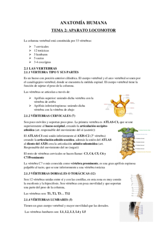ANATOMIA-TEMAS-1-y-2.pdf