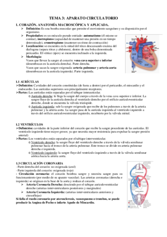 ANATOMIA-TEMA-3.pdf