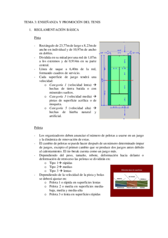 TEMA-3.pdf