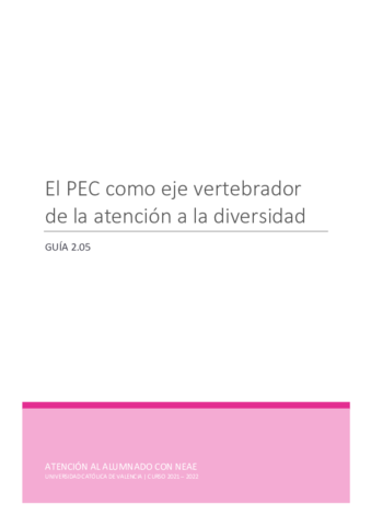 ACNEAE-El-PEC.pdf