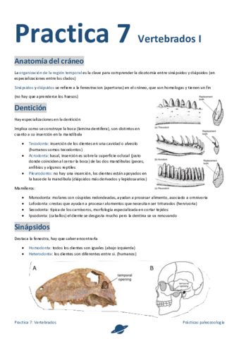 Practica-7.pdf