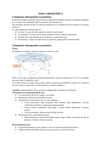 tema-4-bioquimica.pdf